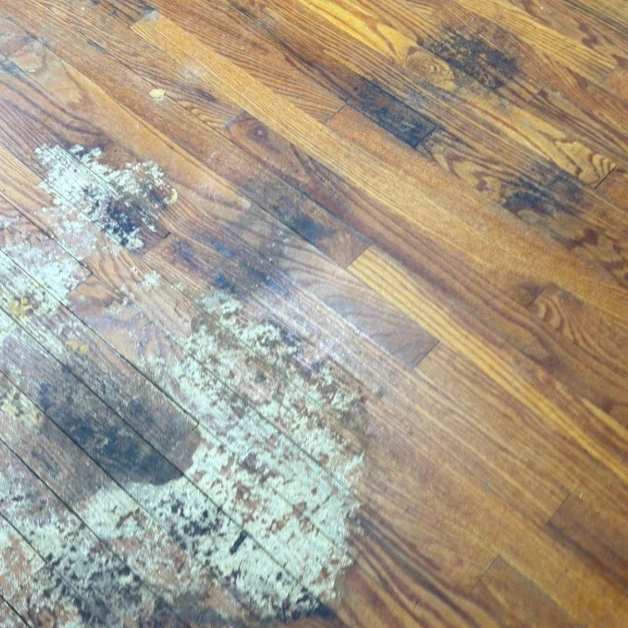 White and Blue Modern Dynamic Marketing Strategy Presentation (1024 x 1024 px) (27) White and Blue Modern Dynamic Marketing Strategy Presentation (1024 x 1024 px) (27)